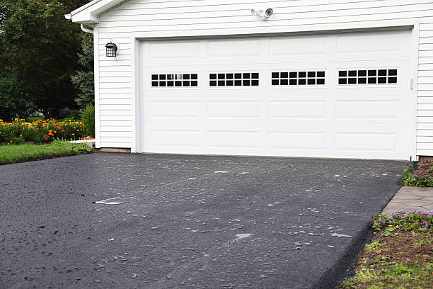 Best Shed Removal  in Wyomissing, PA