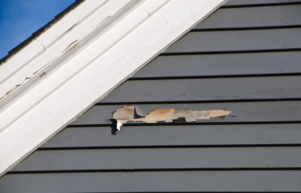Best Demolition Debris Removal  in Wyomissing, PA